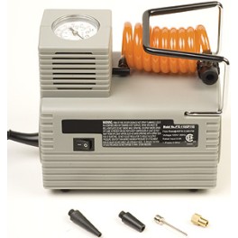 Economy Electric Pump