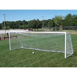 Economy Portable Soccer Goal