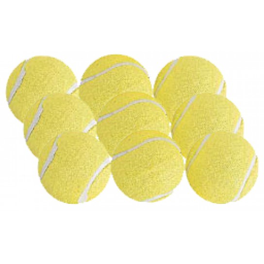 Tennis Balls-Practice